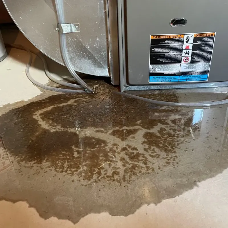 Pipe Burst and Leak Restoration in Castle Pines North, CO